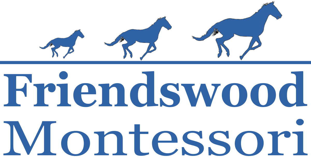 Friendswood Montessori School
